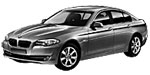BMW F10 B20E7 Fault Code